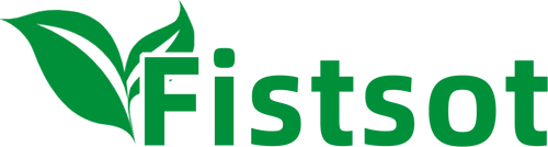Fistsot Store